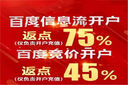 竞价广告投放技巧与案例分析